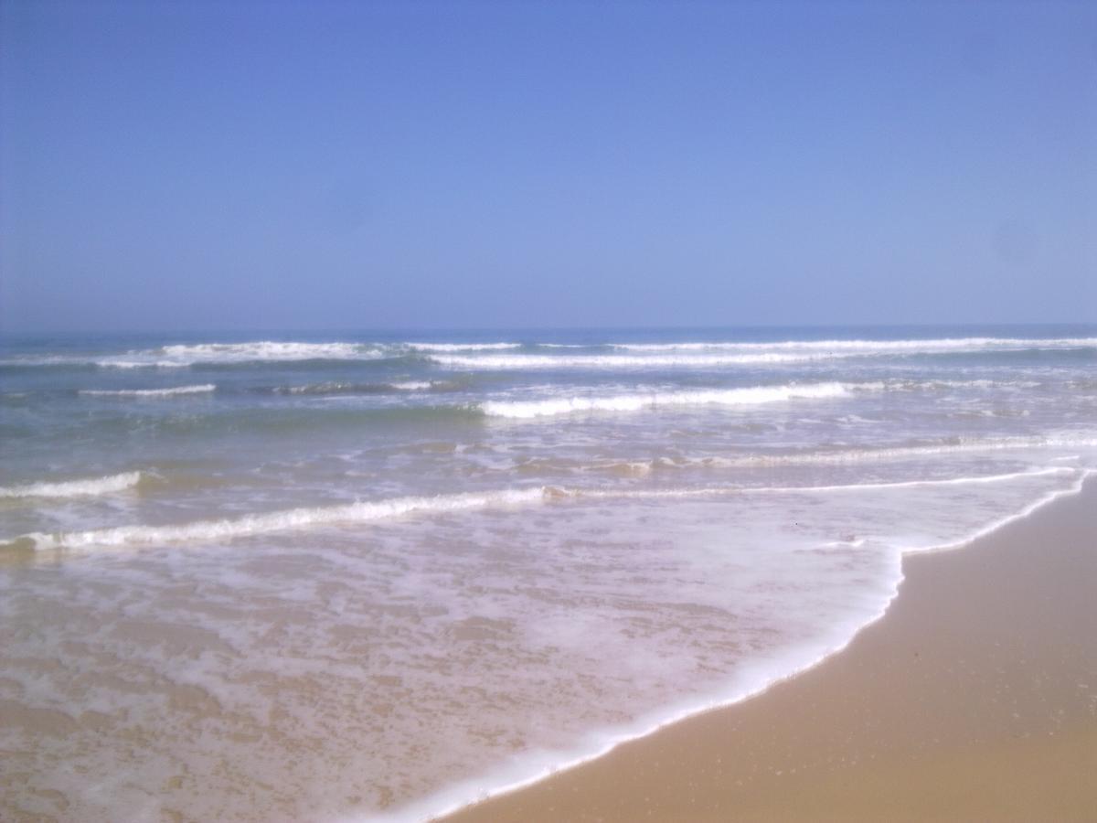 Villa Vista Cottage. Port Alfred Ngoại thất bức ảnh